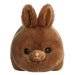 Brown plush toy with bunny ears on a white background