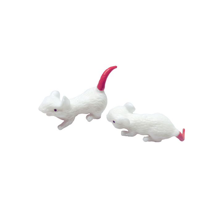 Squishi Mice & Cheeze