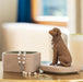 Ceramic dog figurine and bowl on a table with a blurred background
