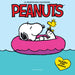 Peanuts calendar cover with Snoopy and Woodstock on a pink inner tube against a blue background.