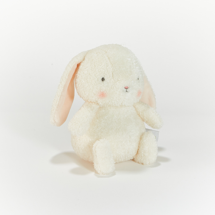 Small cream-colored bunny plush toy on a white background