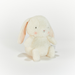 Small cream-colored bunny plush toy on a white background