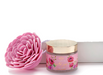The Simple Joy Co. Pink Jasmine Body Scrub Gift Set
