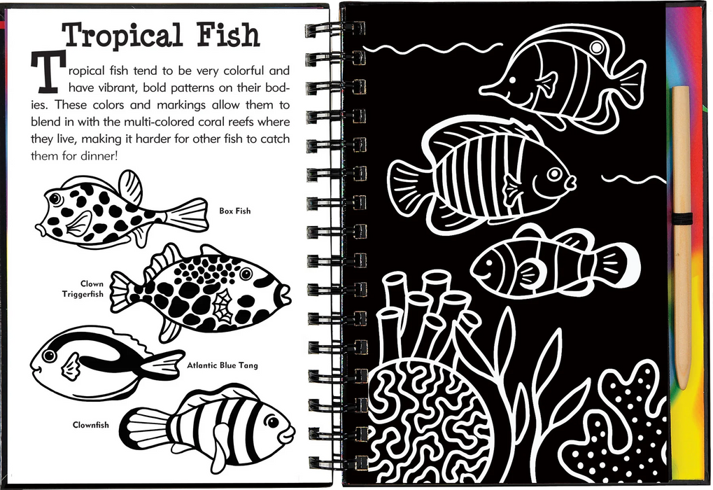 Under the Sea Scratch and Sketch