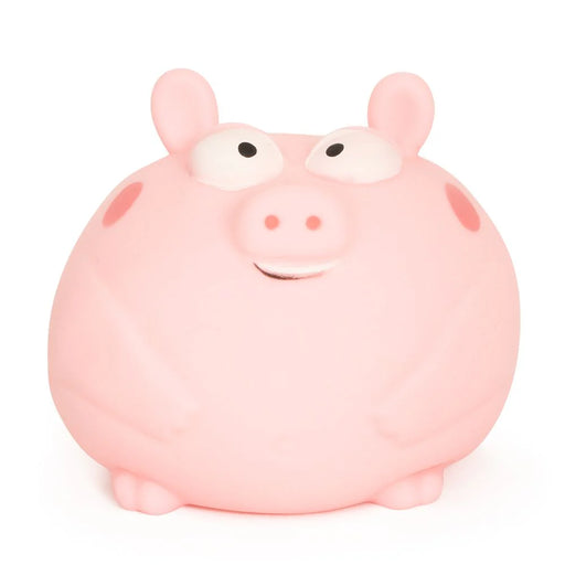 The Big Squij Pig Squishy
