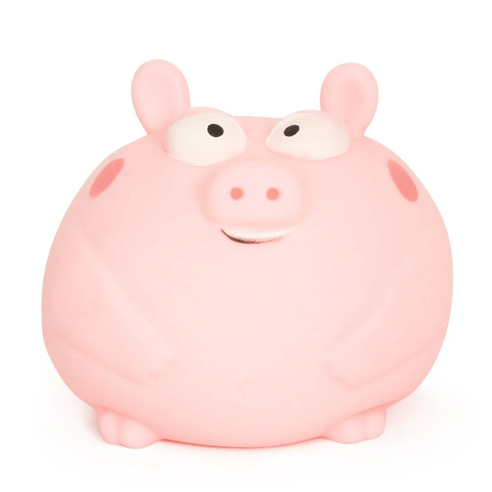 The Big Squij Pig Squishy