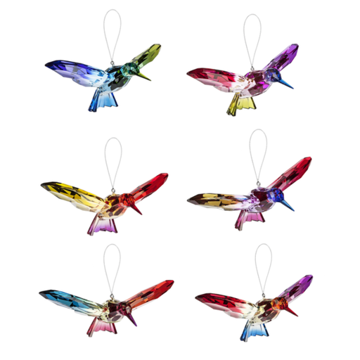 Rainbow Hummingbirds