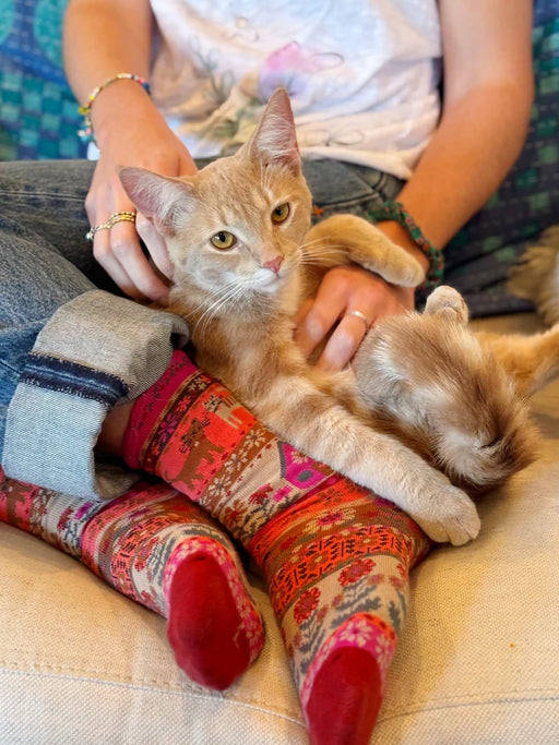 Person wearing colorful patterned socks with a cat on their lap