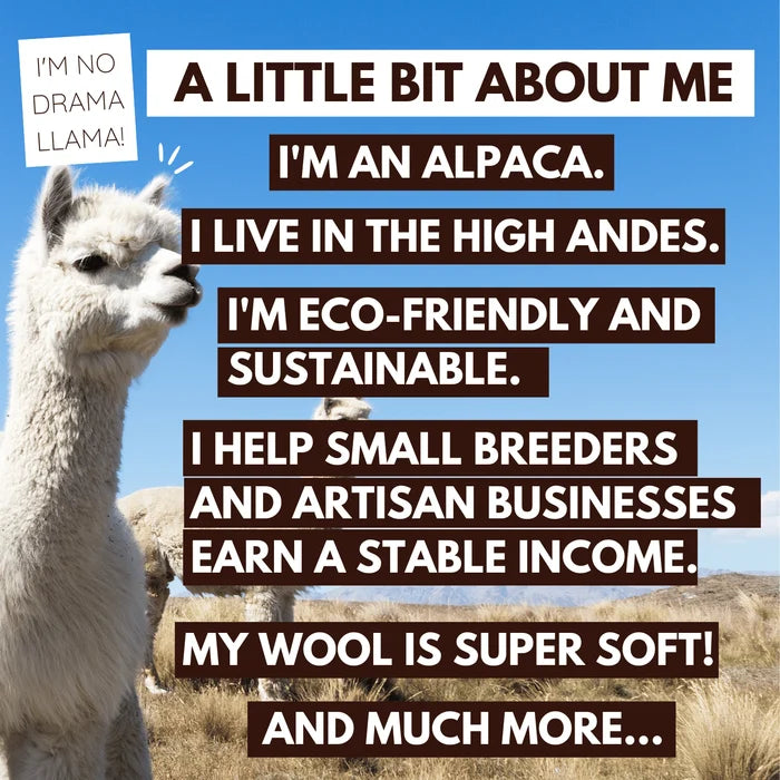 Alpaca with text about its characteristics and benefits