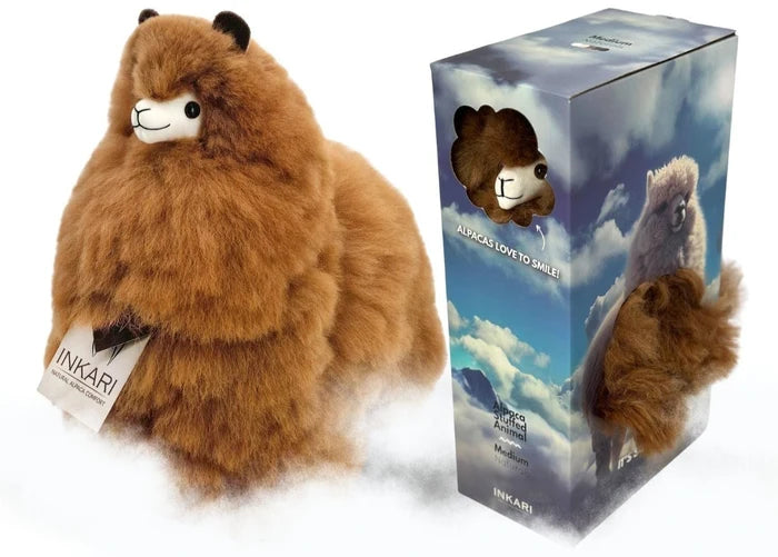 Plush toy resembling a bear with a matching box on a white background