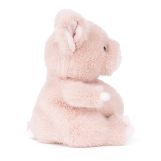 Plush toy sheep on a white background