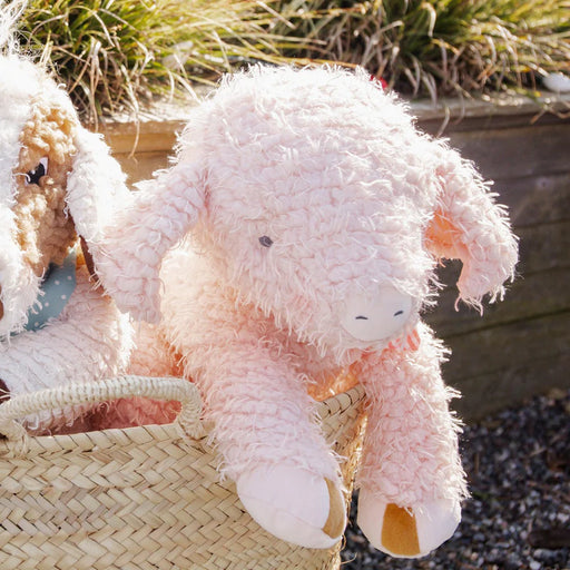 Bunnies by the Bay Big Hammie the Pig