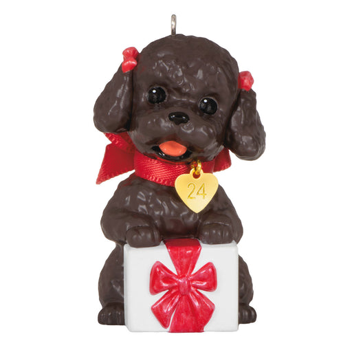 Poodle 2024 Ornament - 34th in the Puppy Love Series
