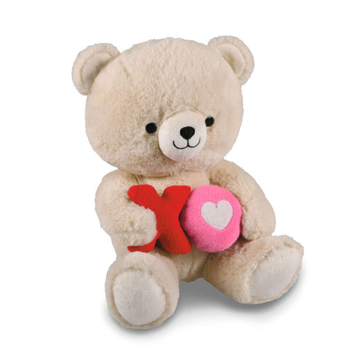 Hugs and Kisses Bear Plush