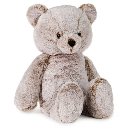 Plush teddy bear on a white background