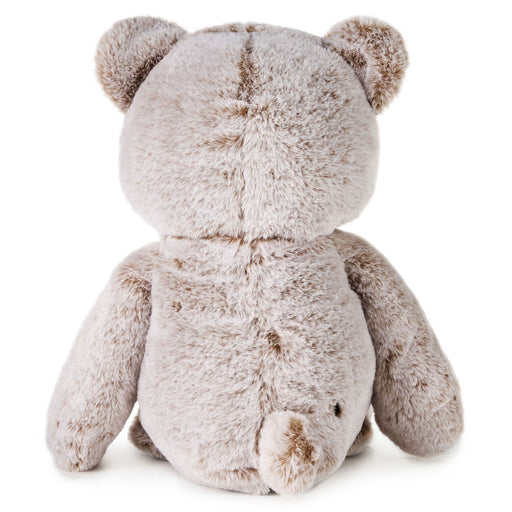 Plush teddy bear on a white background