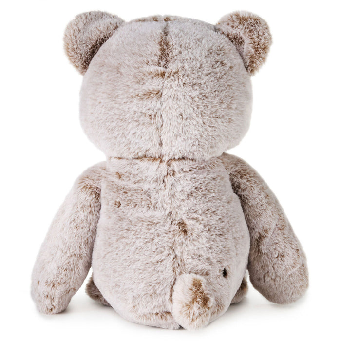 Plush teddy bear on a white background