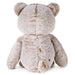 Plush teddy bear on a white background