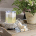 Candle with a decorative base on a wooden surface next to a potted plant