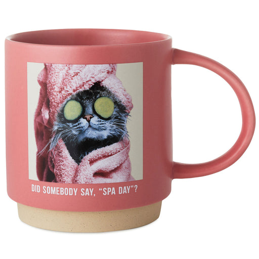 Cat Spa Day Funny Mug