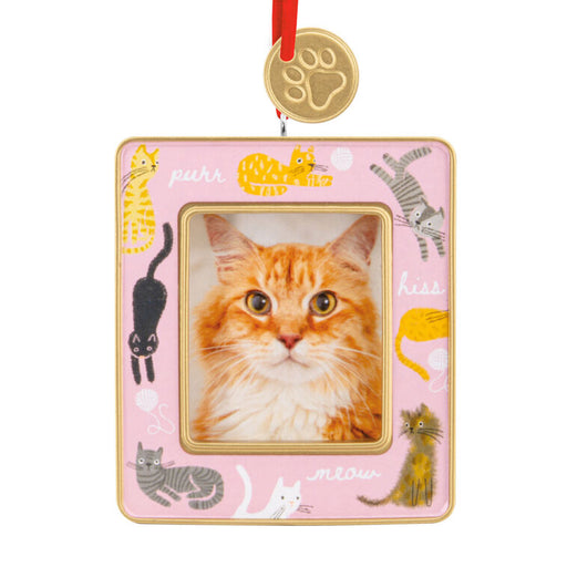 Cat-themed photo frame with a pink background and cat illustrations, featuring a real cat's face inside.