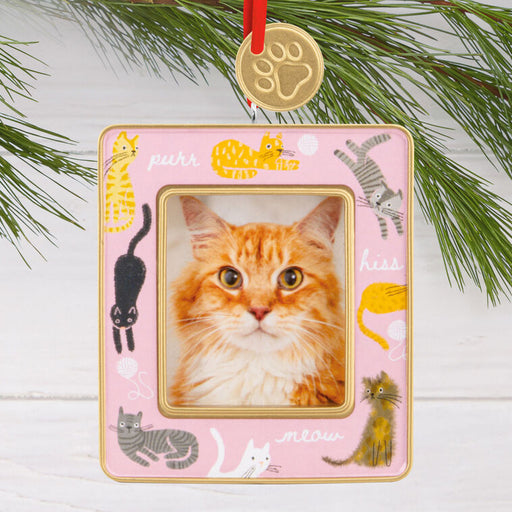 Cat-themed decorative ornament with a pink frame featuring a cat's face, surrounded by small cat illustrations on a white background.