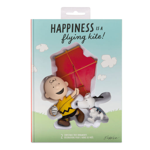 Peanuts® Charlie Brown and Snoopy Hallmark Ornaments, Set of 2