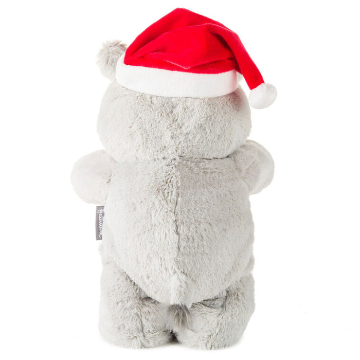 Plush bear wearing a red Santa hat on a white background
