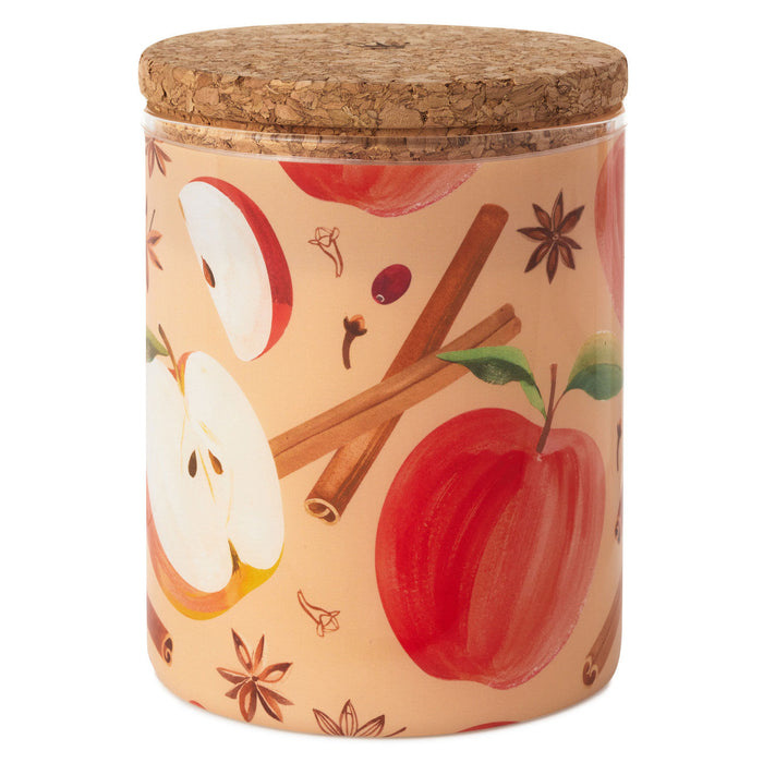 Cinnamon and Chai 2-Wick Scented Candle