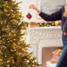 Person decorating a Christmas tree with an ornament in a festive living room.