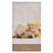 2027 daily planner with a cat and dog sleeping together and text 'Be Kind & Compassionate To One Another Eph. 4:32'.