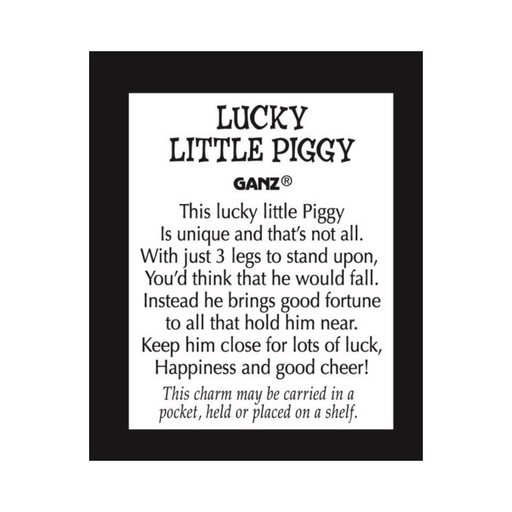 Framed text description of a 'Lucky Little Piggy' product by Ganz on a white background.