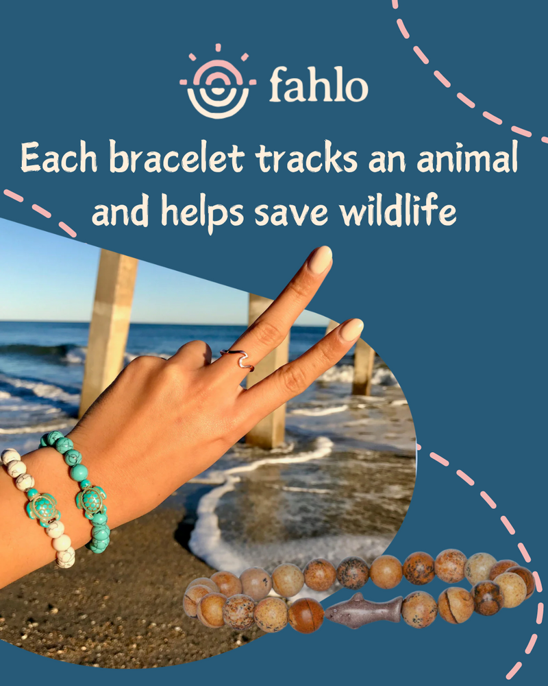 fahlo - Each bracelet tracks an animal and helps save wildlife