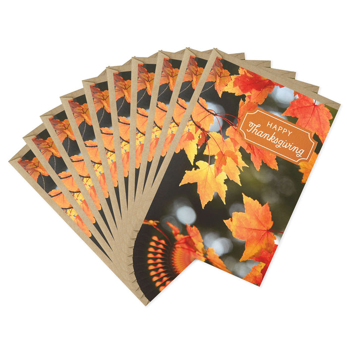 Colorful Fall Leaves Thanksgiving Cards