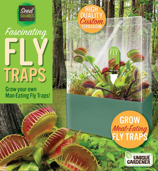 Fascinating Flytraps