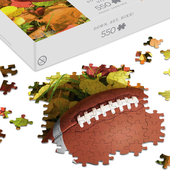Down, Set, Hike! 550-Piece Jigsaw Puzzle