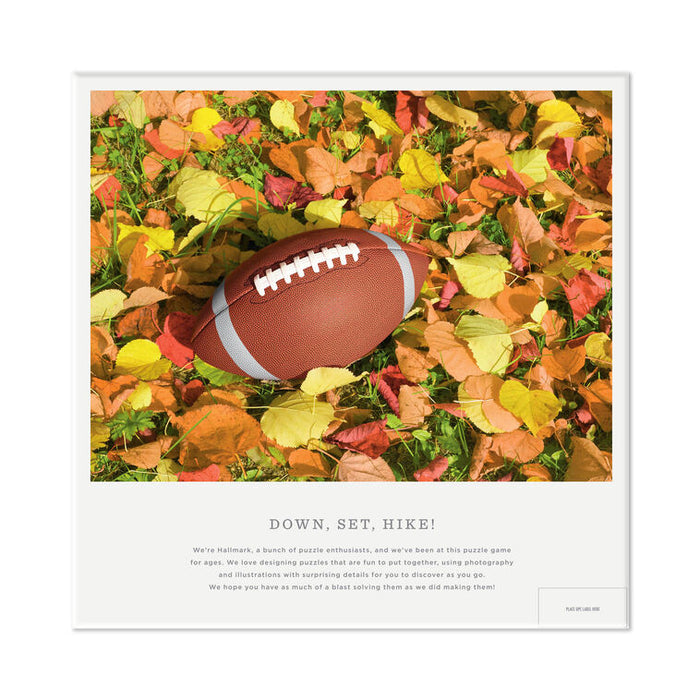 Down, Set, Hike! 550-Piece Jigsaw Puzzle