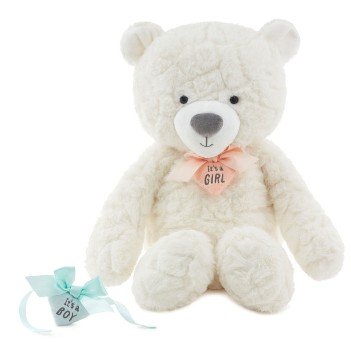 Gender Reveal Teddy Bear Plush With Ribbons