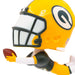 NFL Green Bay Packers Bobblehead Hallmark Ornament