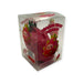 Dragon Fruit Crunchy Squish