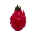 Dragon Fruit Crunchy Squish