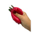 Dragon Fruit Crunchy Squish