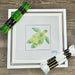 Green Turtle Needlepoint Kit