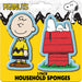 Peanuts Sponge Set