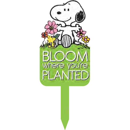 Snoopy holding flowers with a green sign that says 'Bloom where you're planted' on a white background.