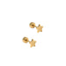 Pair of gold star-shaped earrings on a white background