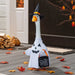 A decorative goose figure dressed in a black witch hat and white Halloween robe, holding a small black 'Trick or Treat' bucket, set on a gray deck with autumn leaves, pumpkins, and a dark door in the background.