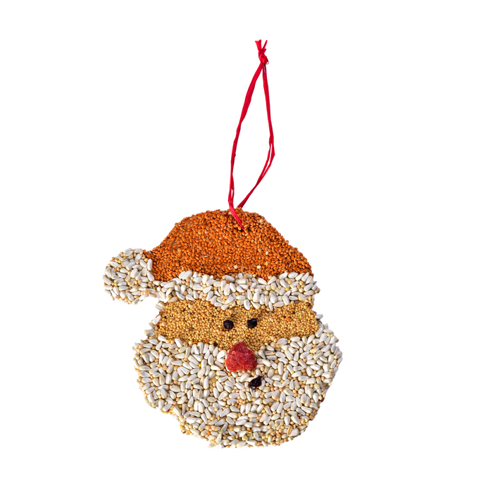 Birdseed Santa Christmas Cookie Ornament