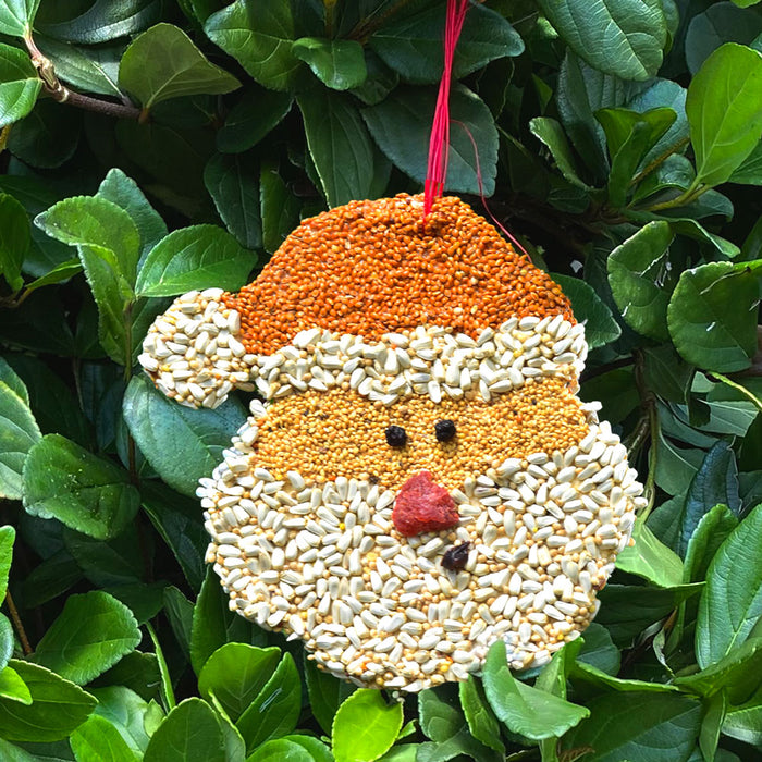 Birdseed Santa Christmas Cookie Ornament