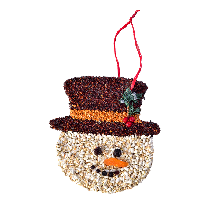 Birdseed Frosty Christmas Cookie Ornament